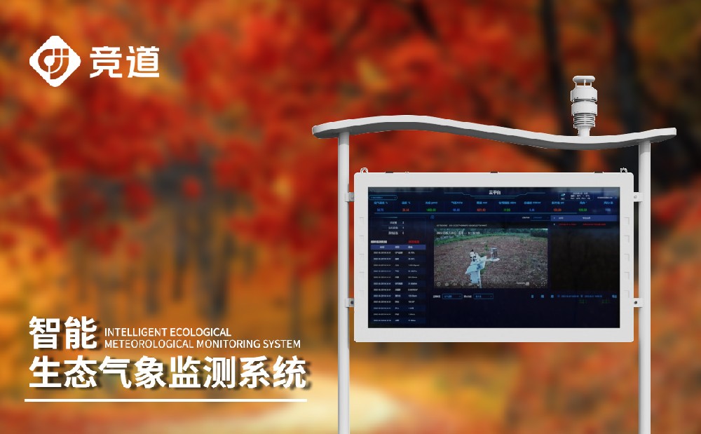 負氧離子實時監(jiān)測系統(tǒng)